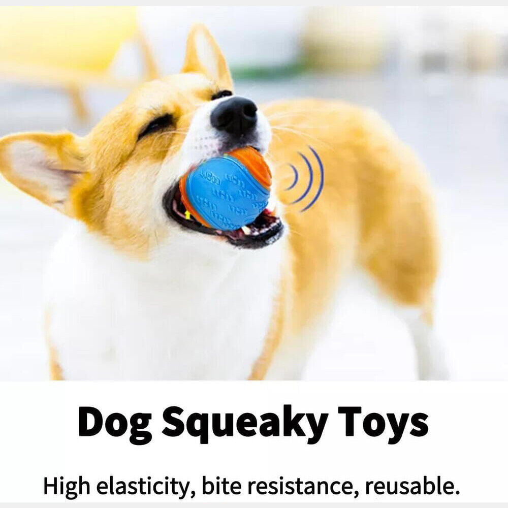 Scooby-Doo Durable Squeaky Set of 8 Dog Balls for Teeth Cleaning Interactive