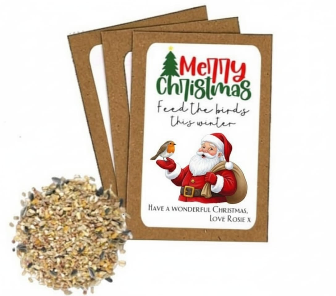 A Thoughtful Christmas Gift for Nature Lovers: Bird Seed Pack