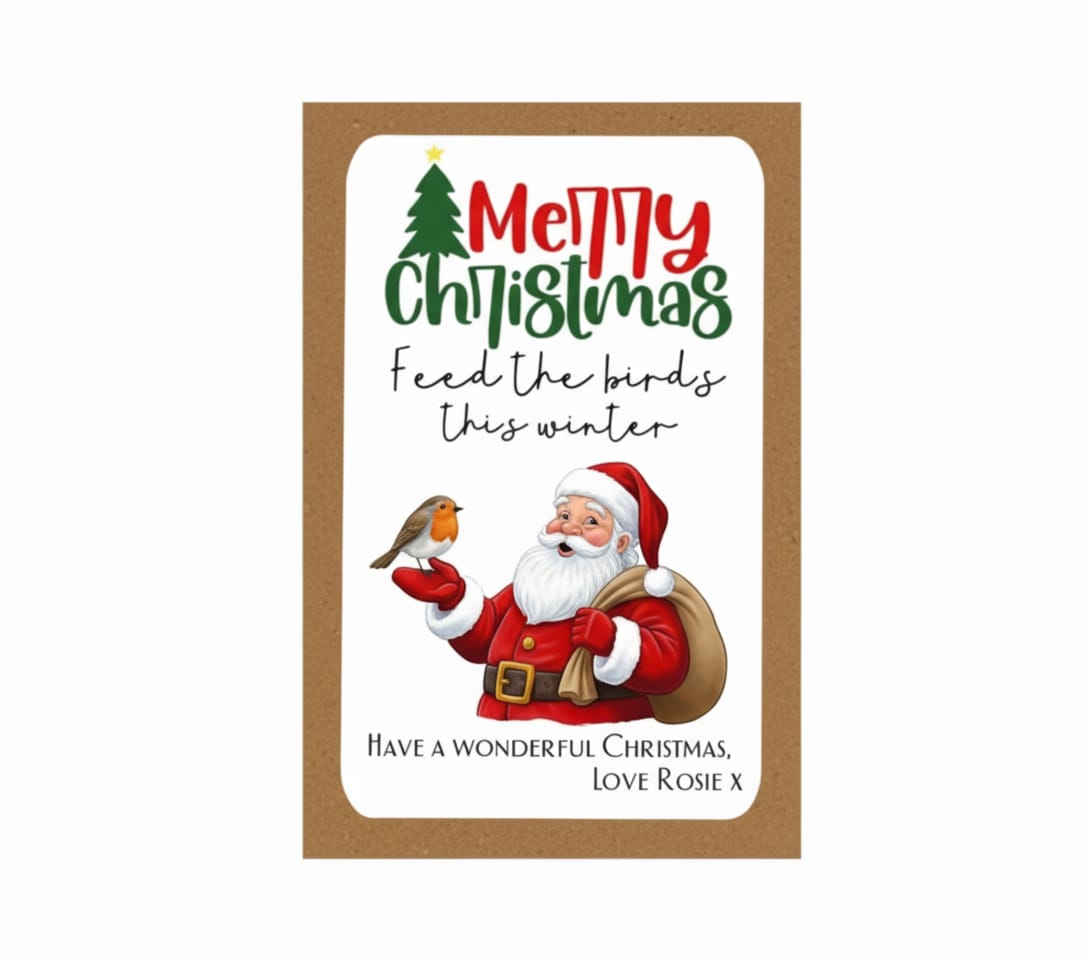 A Thoughtful Christmas Gift for Nature Lovers: Bird Seed Pack