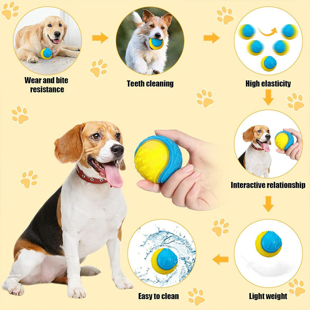 Scooby-Doo Durable Squeaky Set of 8 Dog Balls for Teeth Cleaning Interactive