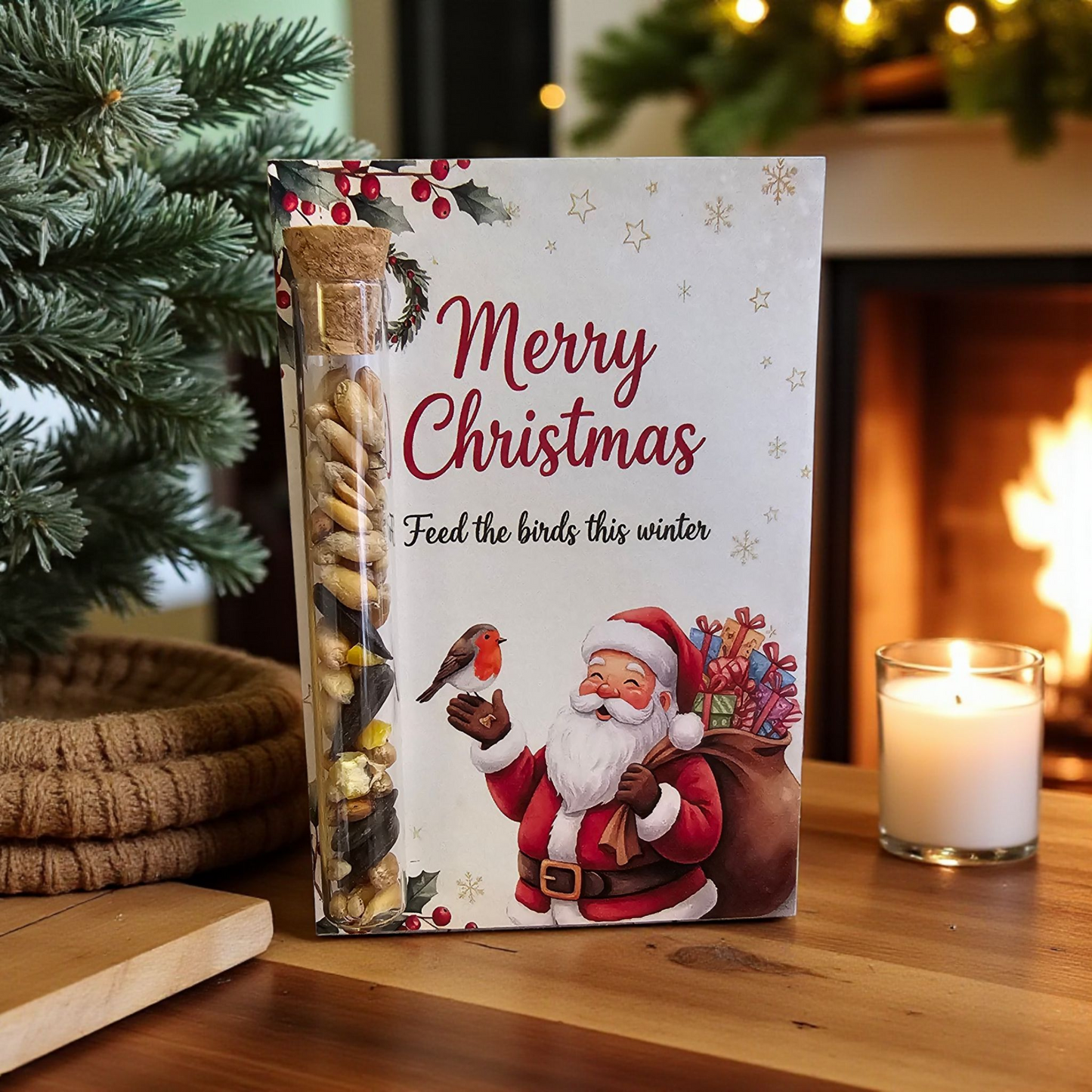 Festive Bird Seed Christmas Card Gift Set - "Feed the Birds This Winter"