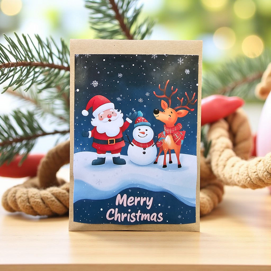 Mini Christmas Card Envelope with Chocolate Coins - Festive Stocking Filler